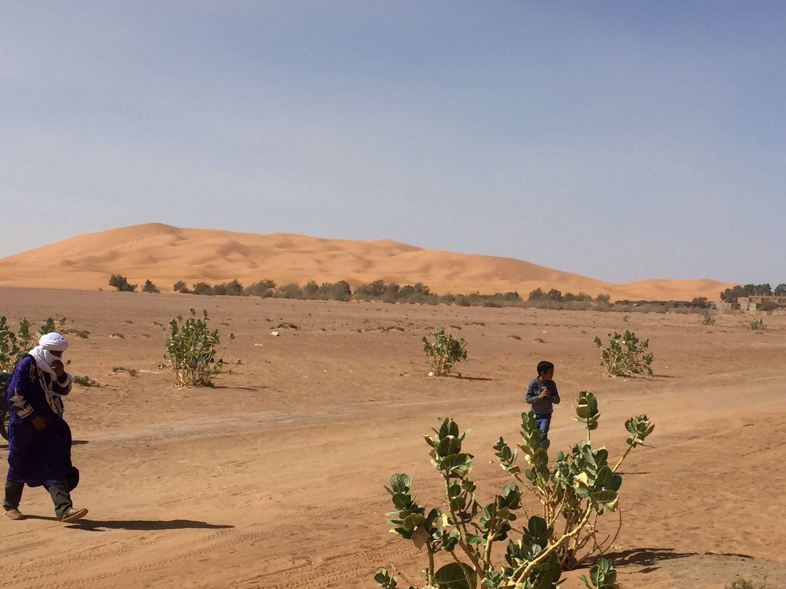 IMG-20180405-WA0010|aktuell_ibrahim-abouleish-67b2d31a|desierto_pivotesriego2|desierto_chile1|desierto_Sekem|itc-tecnologiahorticola-banner_700x200px_01|300587061_931185397799205_4101752012828438786_n|wise